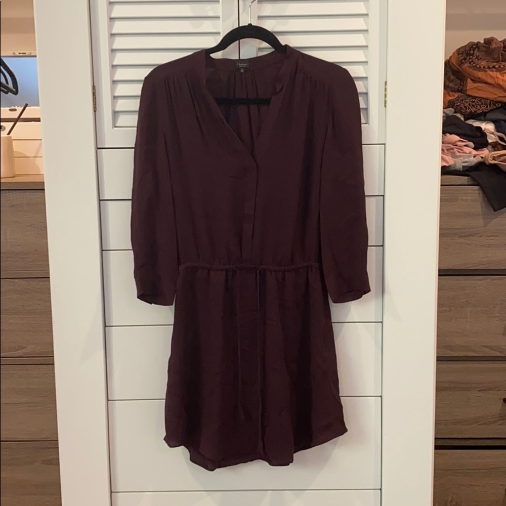 Aritzia Silk drawstring dress.